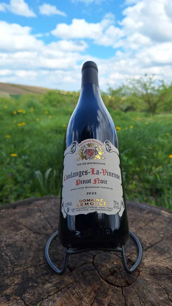 Bouteille de vin Coulanges-La-Vineuse Pinot Noir 2022